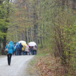Ausflug Südliches Burgenland 2019